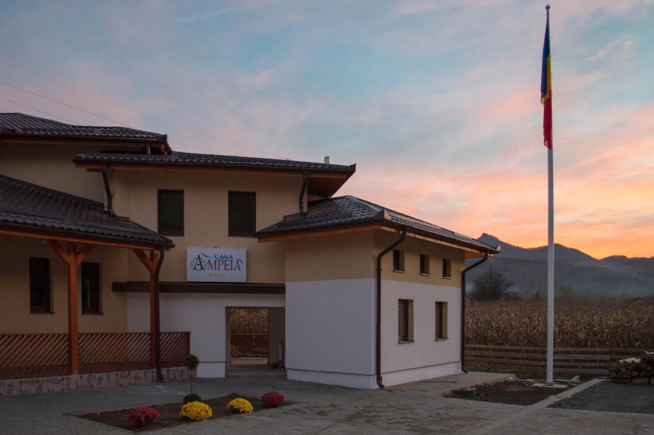 Pensiune Casa Ampeia อัลบายูเลีย ภายนอก รูปภาพ