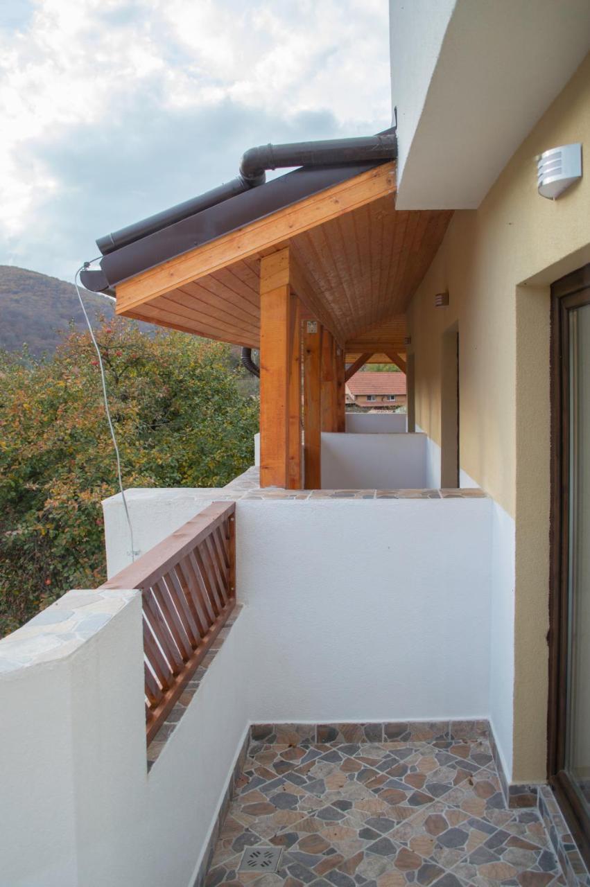Pensiune Casa Ampeia อัลบายูเลีย ภายนอก รูปภาพ